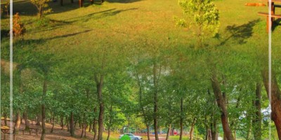 Sakarya Barosu Piknik Organizasyonu