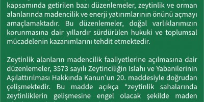 Zeytinliklerimiz ve ormanlarımız ortak geleceğimizdir