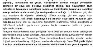 Sokaklarında hayvan avına çıkılan bir toplum şiddet sarmalından çıkamayacaktır